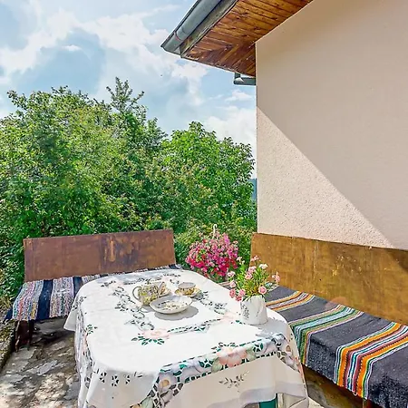 ホームステイ каневи