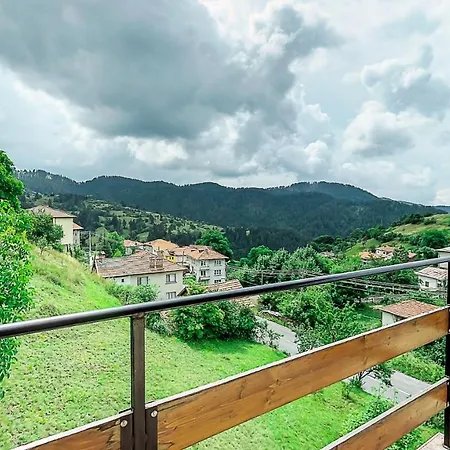 ホームステイ каневи モムチロフツィー