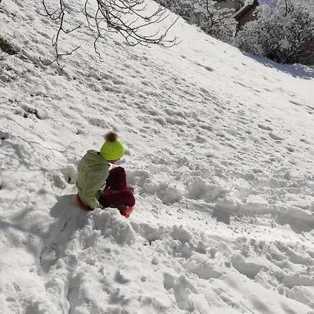 каневи Проживание в семье *