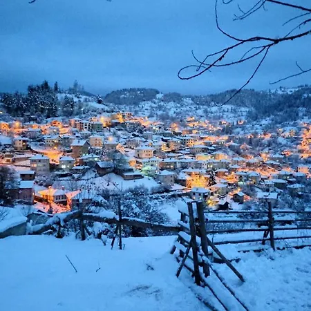 Проживание в семье каневи