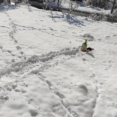 каневи * Momchilovtsi (Smolyan)