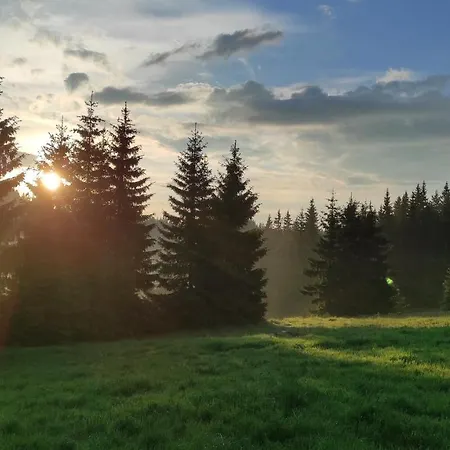 Проживание в семье каневи *