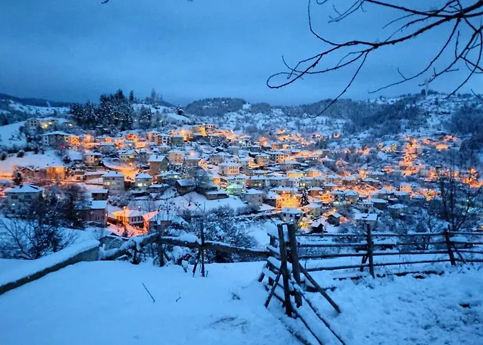 Privat bolig каневи