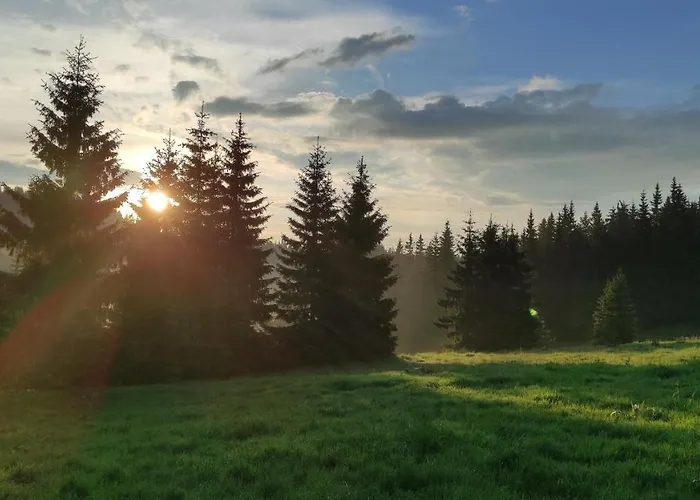 Privat bolig каневи *