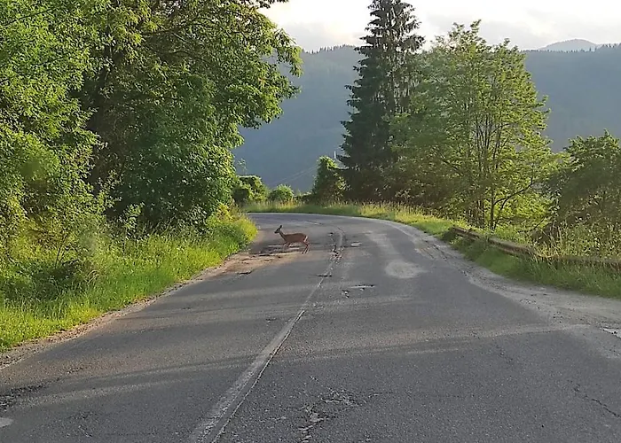 Privat bolig каневи *